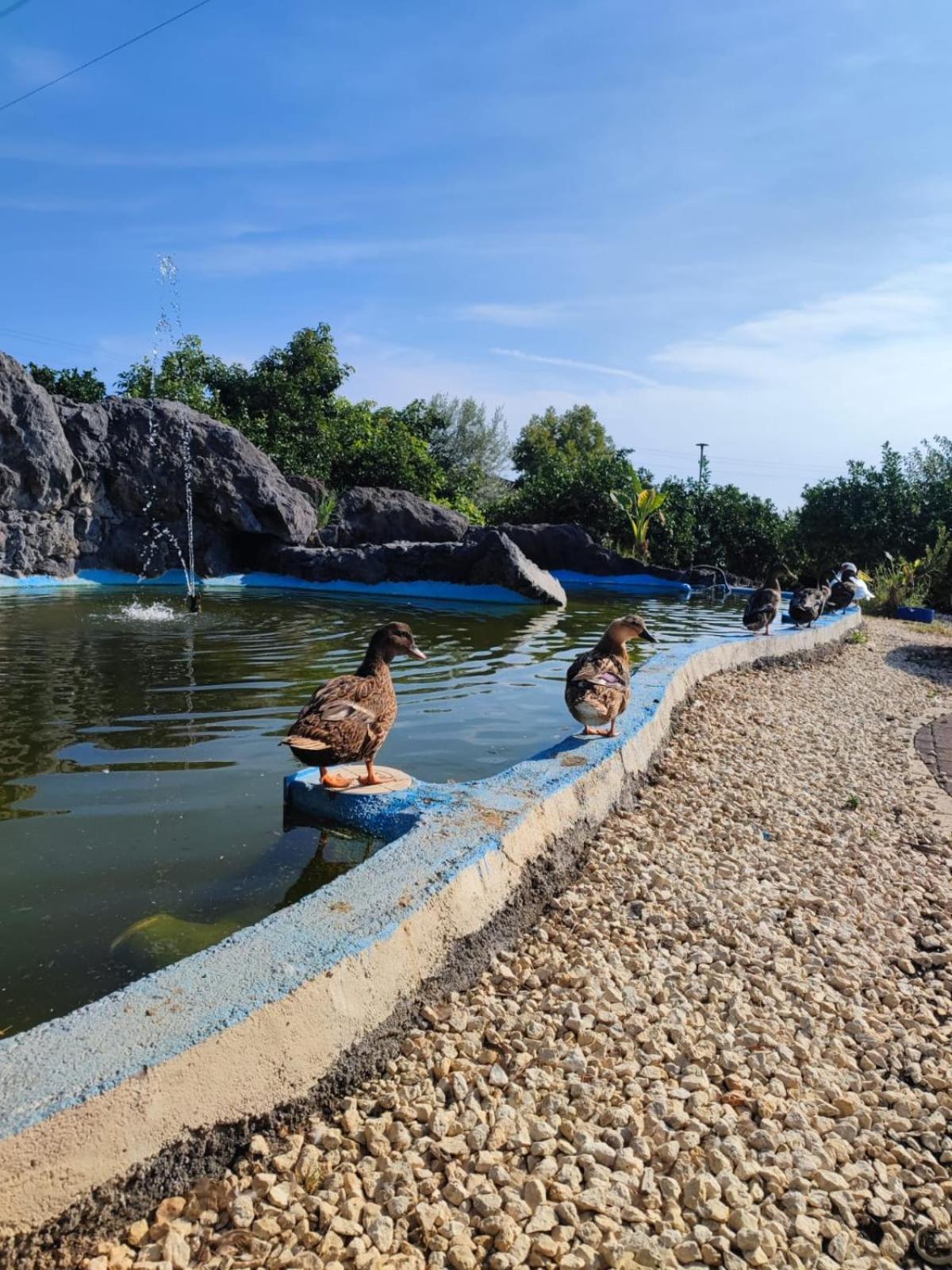 Don Vittorio Country Village Трапитело Екстериор снимка